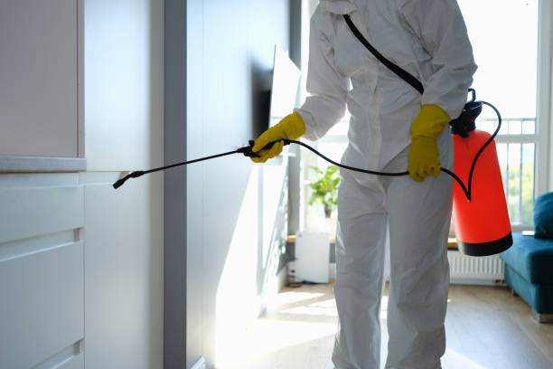 Best Residential Mold Remediation in Aliso Viejo, CA