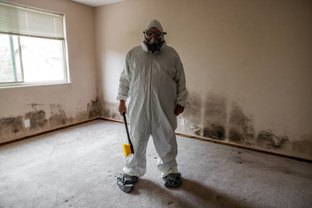 Best Mold Remediation for Specific Building Types in Aliso Viejo, CA